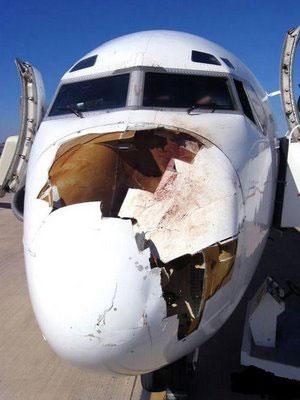 Damage to airplane after bird strike