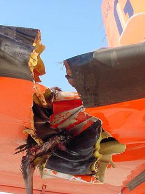 Damage to airplane after bird strike
