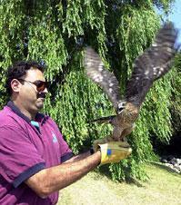 Animal Rehabilitation