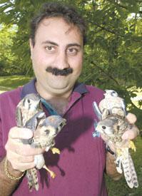 Kestrel Rehabilitation