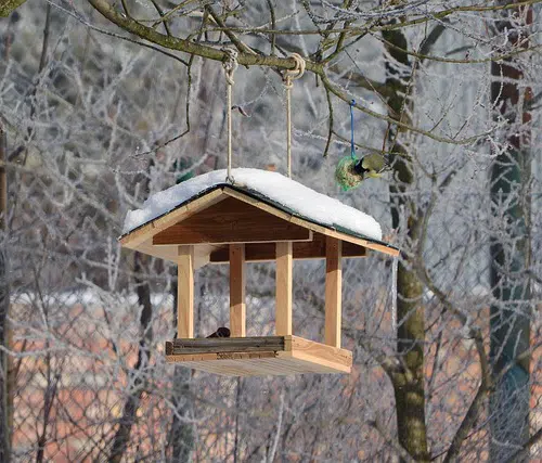 bird feeder with snowy roof