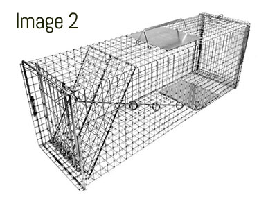 animal wildlife cage trap