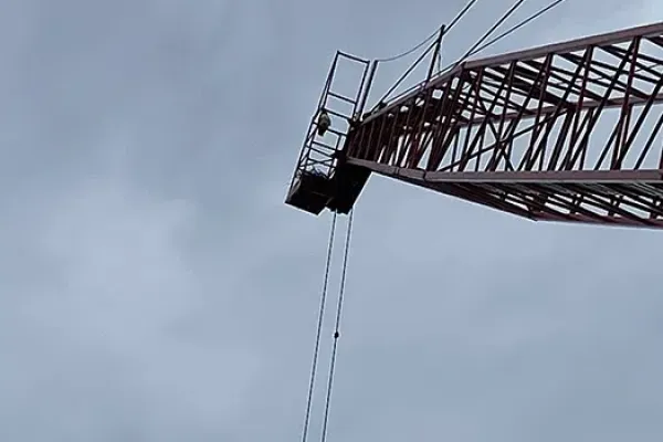 Red Tail Hawk Nest on Crane