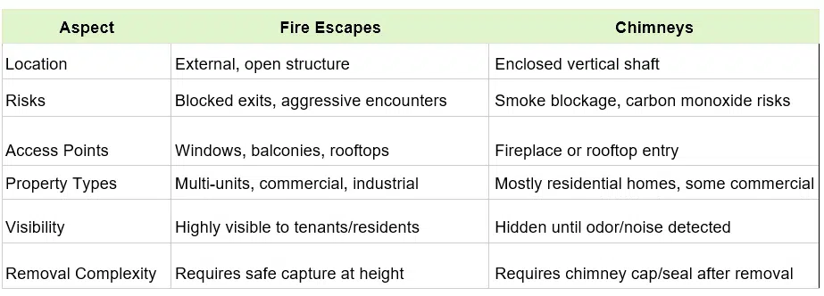 raccoons on fire escape vs. raccoons in chimney comparison chart