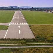 geese at airports