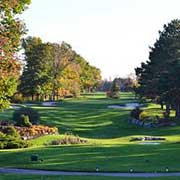 geese on golfcourse