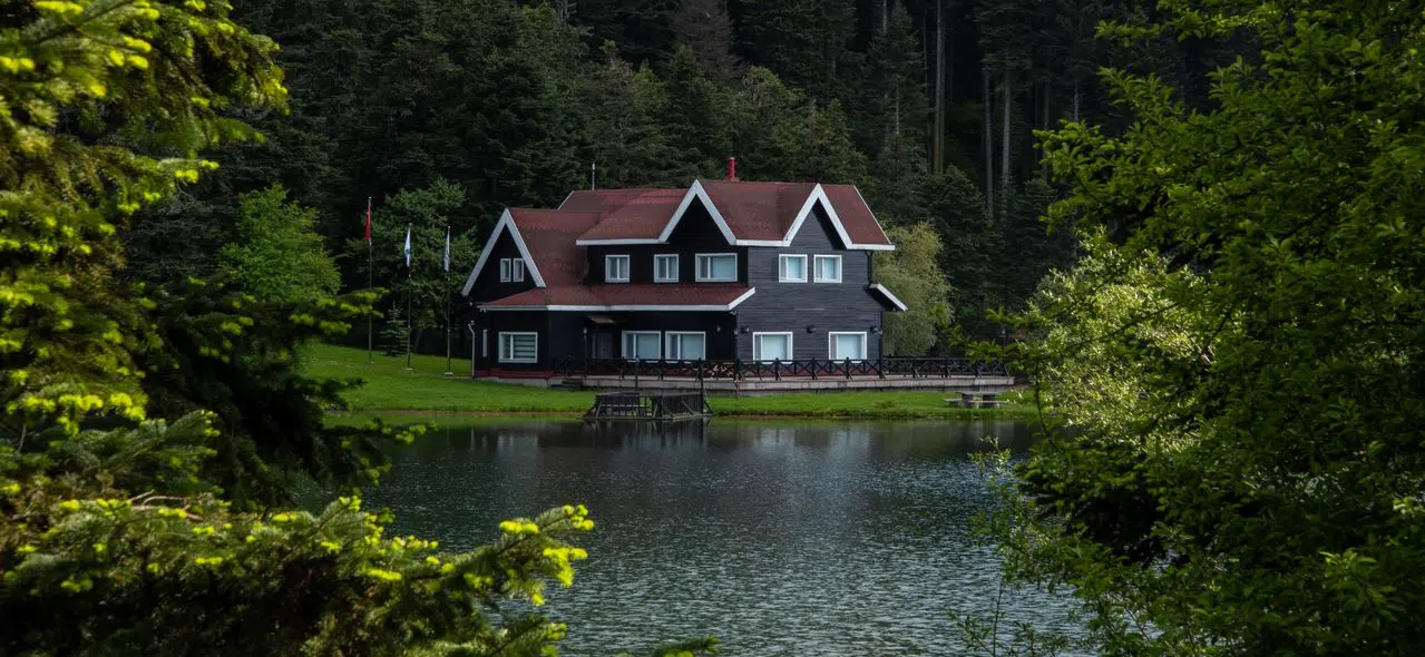How to get rid of geese on lakefront properties Lakefront home