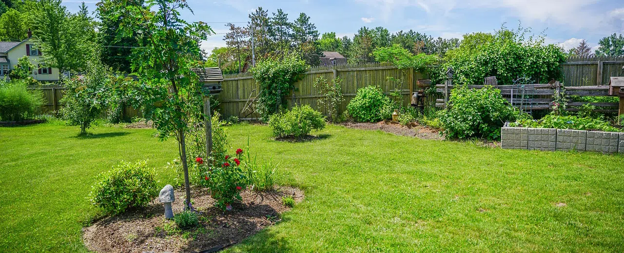 beautifully landscaped backyard