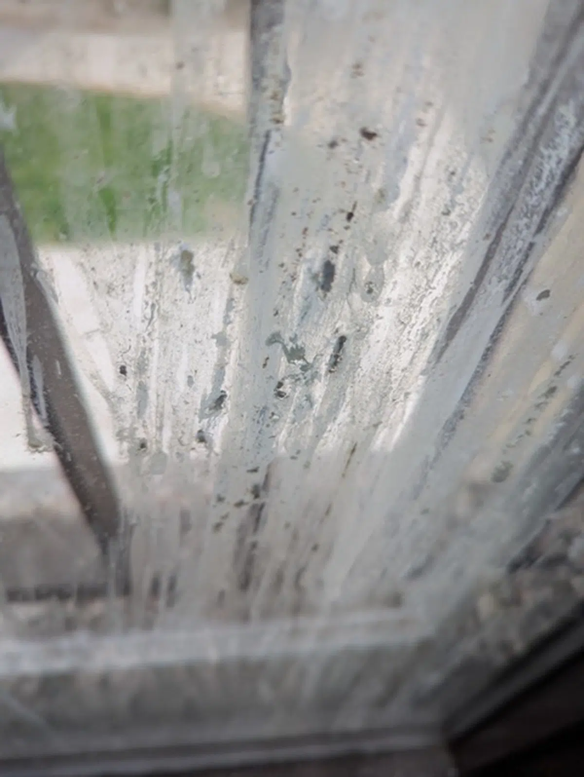 The view from inside of unit experiencing pigeon infestation of balcony Window dirtied with pigeon poop