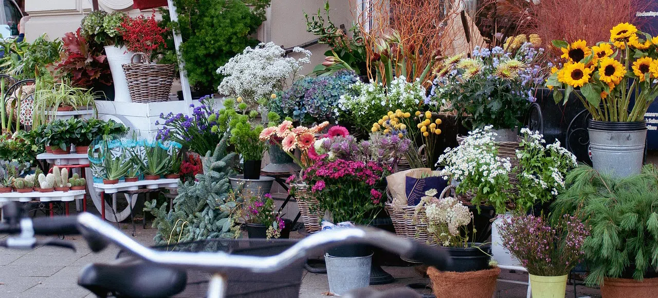 arrangement of planters