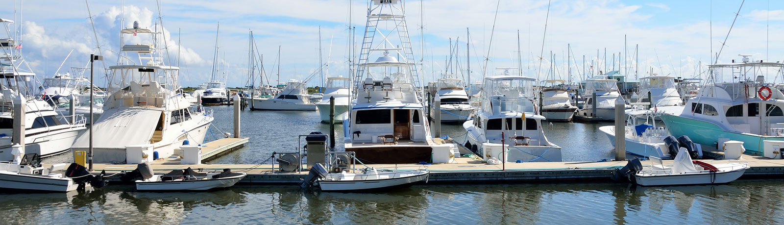 SEAGULLS ON PIERS AND DOCKS