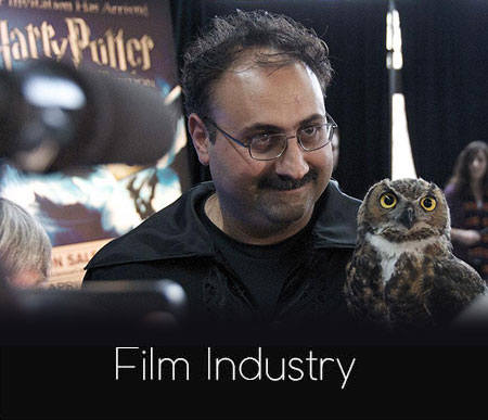 Animal Wrangling | Birds of prey and trained animals for movie and film