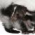 q skunk control removal