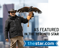Toronto Star Front Page Article: Hawkeye's Dan Frankian