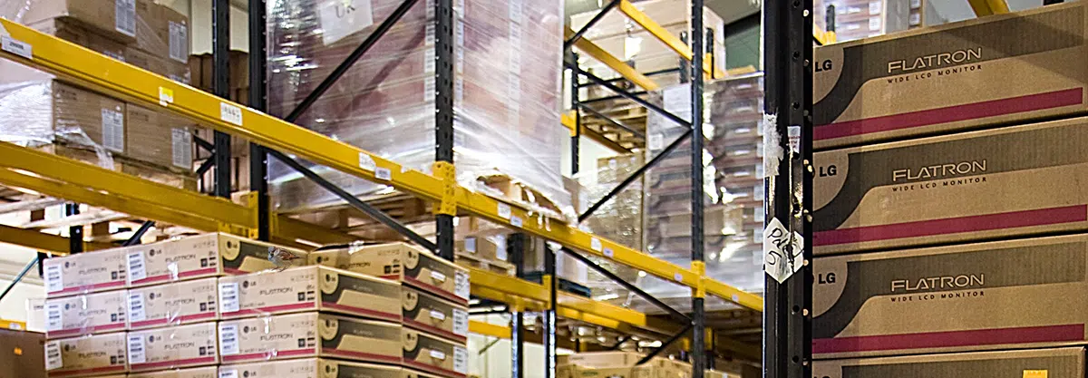 sparrow in warehouse