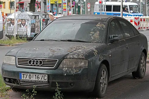 pigeon guano on cars