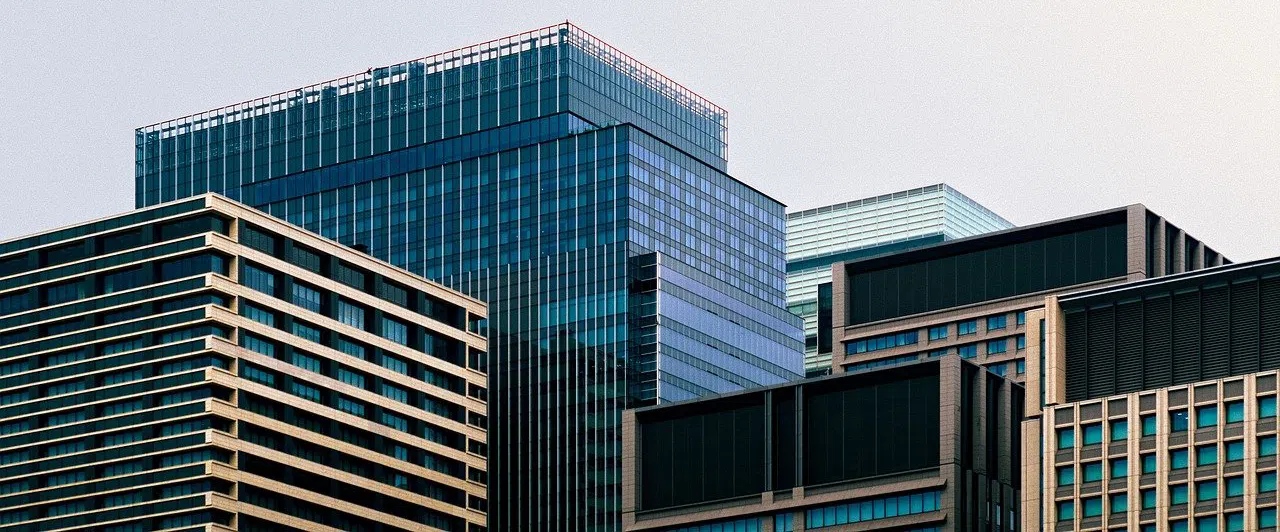 raccoon control 4 office buildings