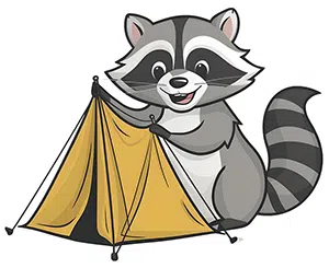 raccoon pitches tent