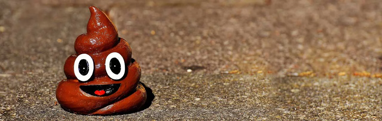 The Hazards of Raccoon Poop Removal