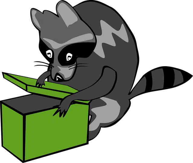 Keep raccoons out of food storage areas Illustration of raccoon opening box
