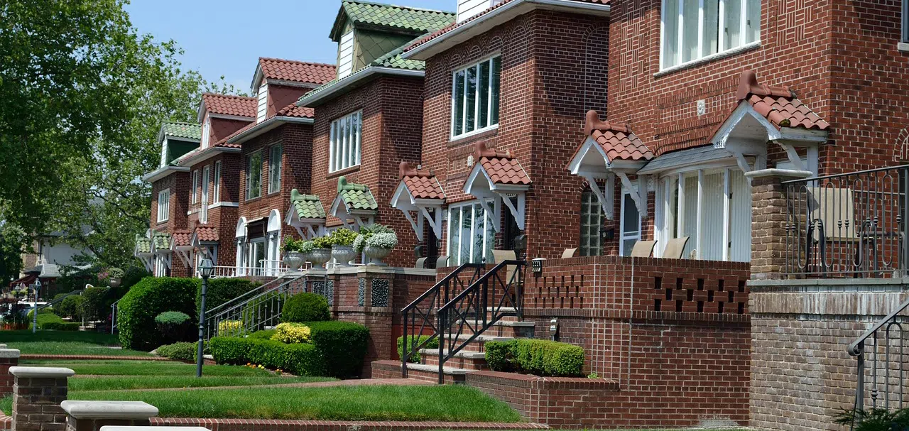 Removing raccoons from shared attic spaces row of townhomes