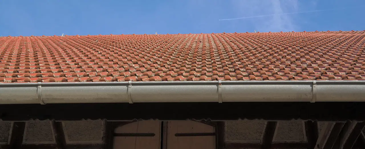 Roof and gutter