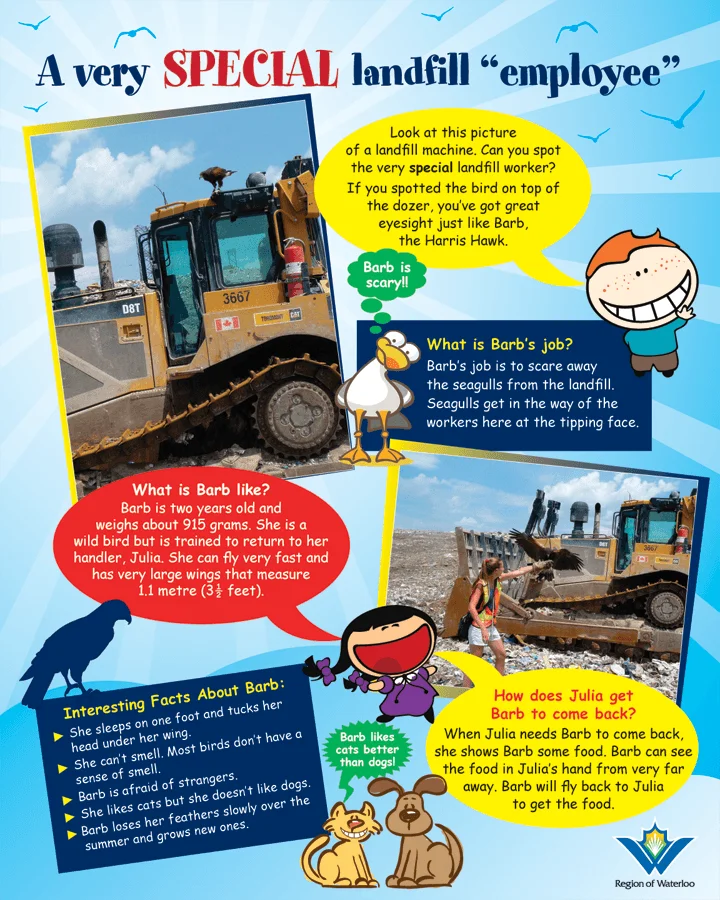 ️Environmental Education Center Waterloo (416) 4295393