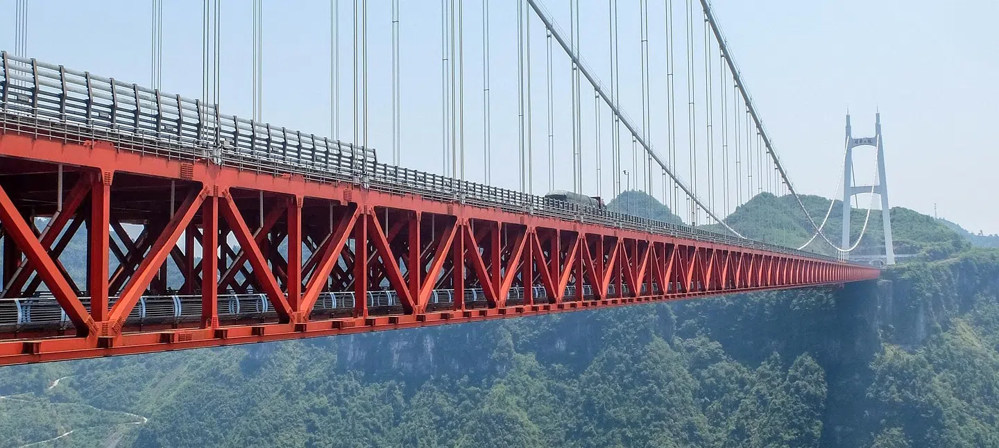 The danger of raccoons on bridges and other steel structures steel bridge