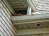 Pigeon Nest Control
