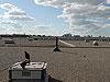 Gull Removal Services