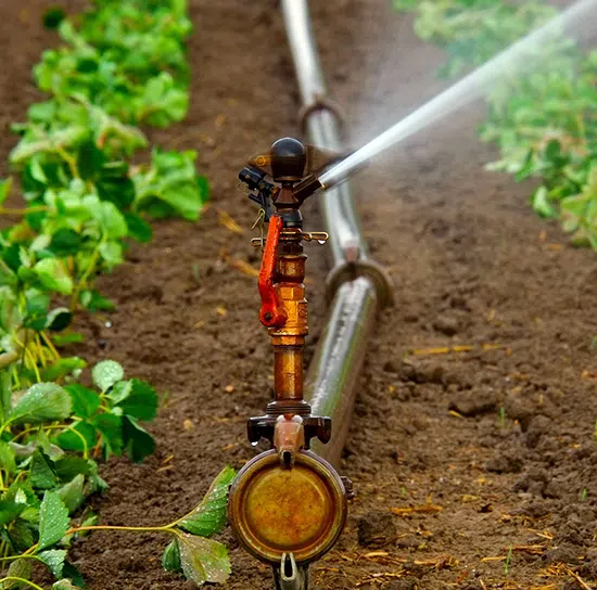 water sprinkler